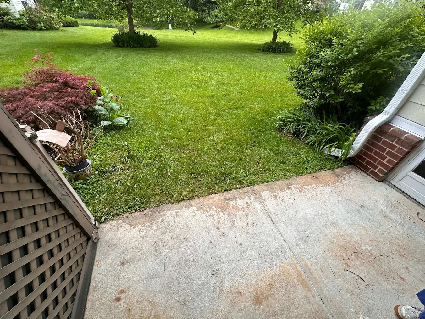 Green backyard lawn beside a concrete patio.